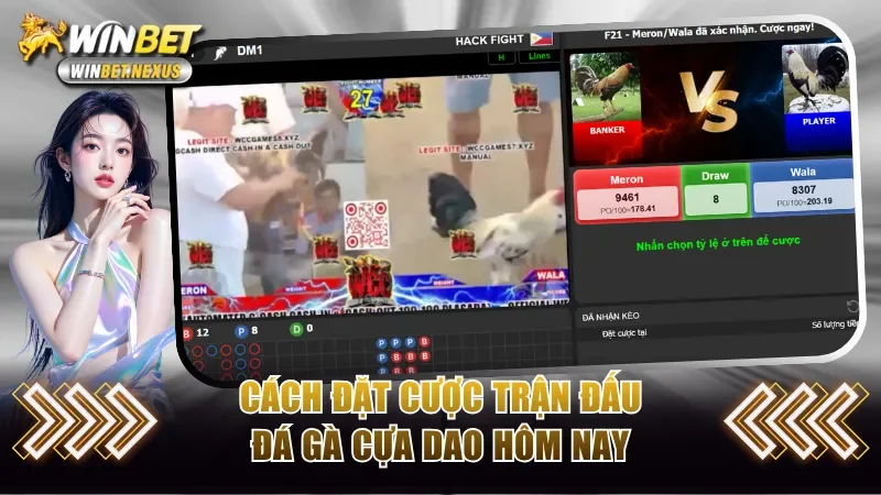 Cách đặt cược trận đấu đá gà cựa dao