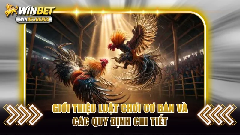 Giới thiệu luật chơi cơ bản và các quy định chi tiết